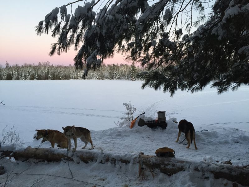 Boundary Waters Canoe Area Wilderness (BWCA), Thoughts on this